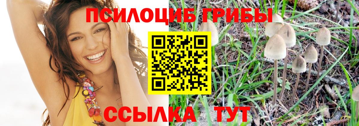 Галлюциногенные грибы ЛСД  Вход с VPN  Пушкино 