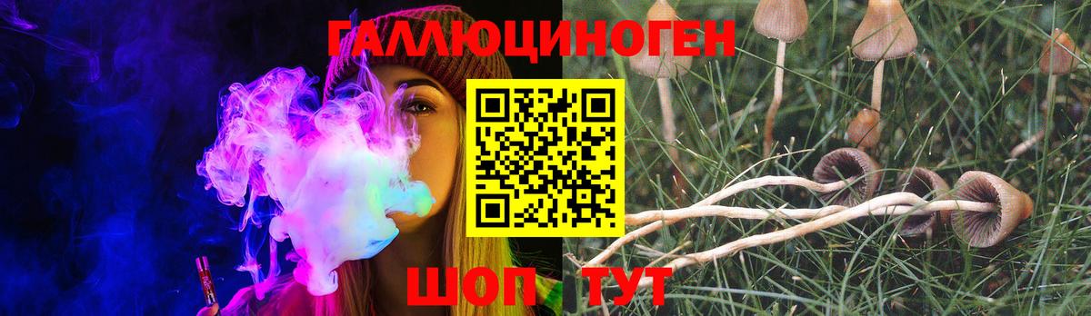 Псилоцибиновые грибы Magic Shrooms Пушкино